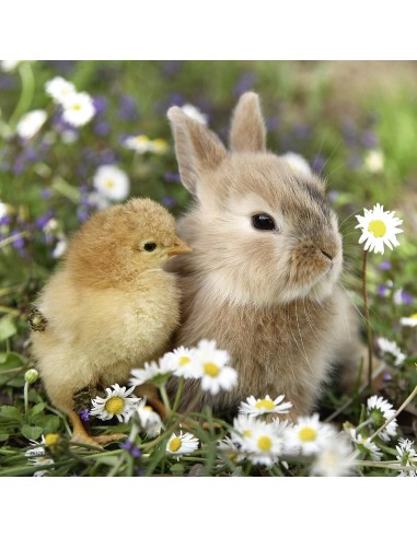 Puzzle 3x49 pz Teneri Coniglietti