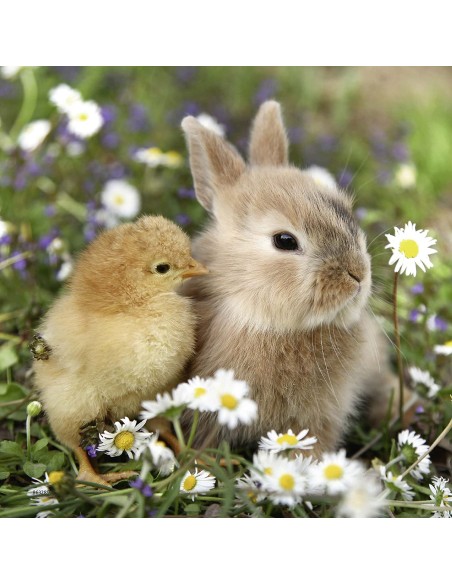 Puzzle 3x49 pz Teneri Coniglietti