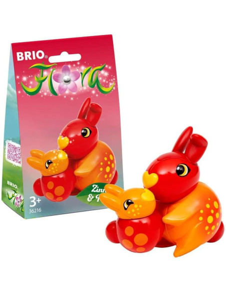 Flora Zinnia e Peach