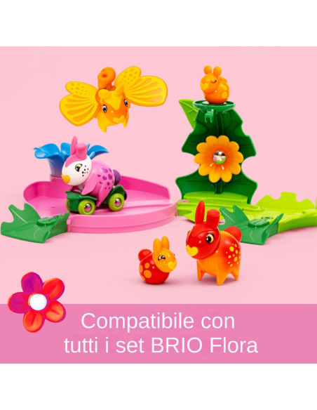 Flora Zinnia e Peach