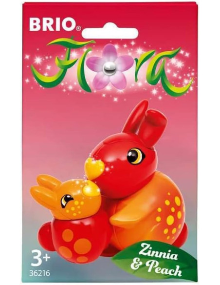 Flora Zinnia e Peach