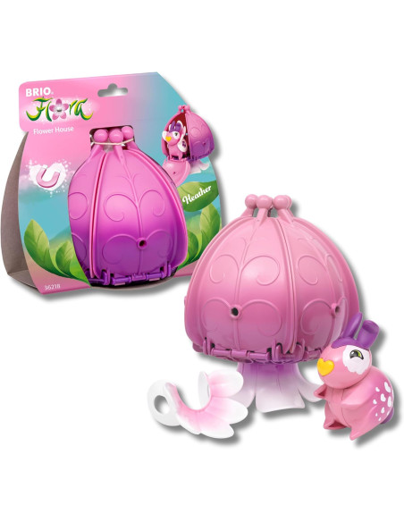 Flora Heather La casa in fiore