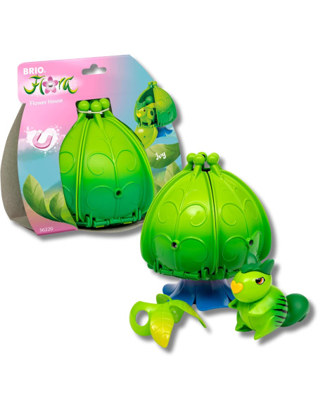 Flora Ivy La casa in fiore