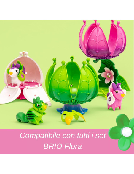 Flora Ivy La casa in fiore