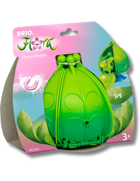 Flora Ivy La casa in fiore