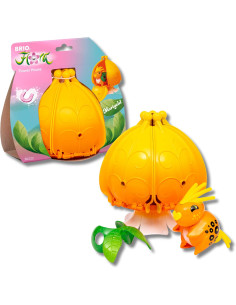 Flora Marigold La casa in fiore