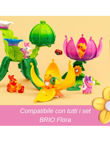 Flora Marigold La casa in fiore