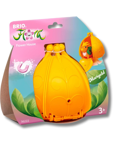 Flora Marigold La casa in fiore