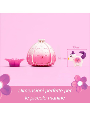 Flora Poppy La casa in fiore