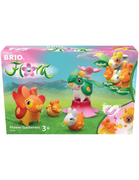 Flora Daffodil, Buttercup e 2 Buddy Gli esperti dei fiori