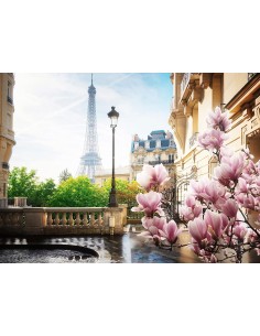 Puzzle 500 pz - Primavera a Parigi 2