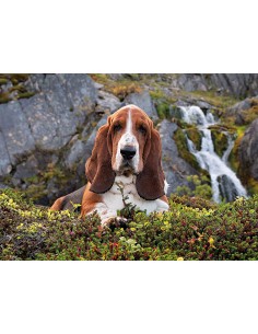 PUZZLE Charlie Brown 1000PZ 2