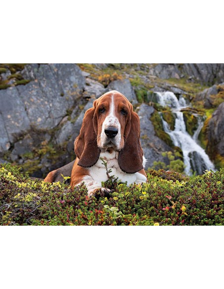 PUZZLE Charlie Brown 1000PZ