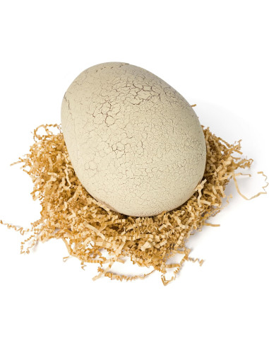 Primal Hatsch Jurassic World, T-rex Dinosauro...