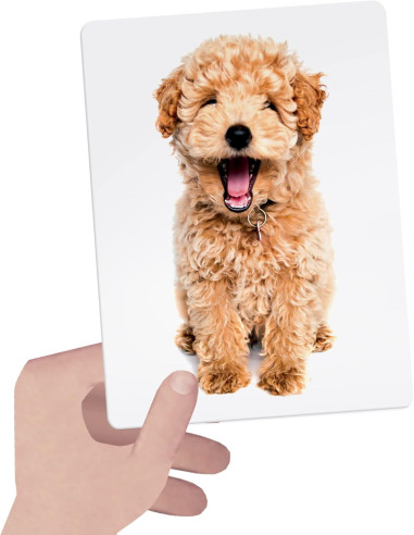 Flashcards Tactile Montessori