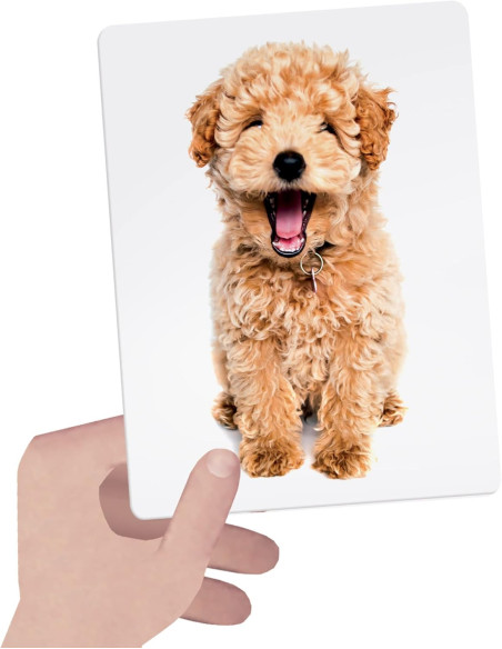 Flashcards Tactile Montessori