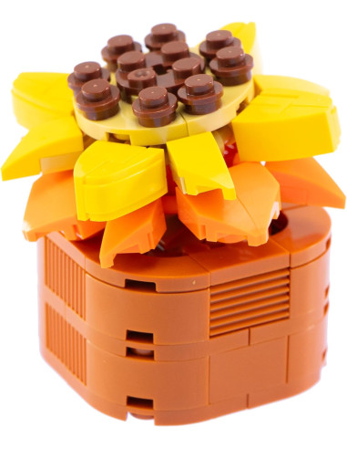 Nice - Mattoncini Sedum Adolphii