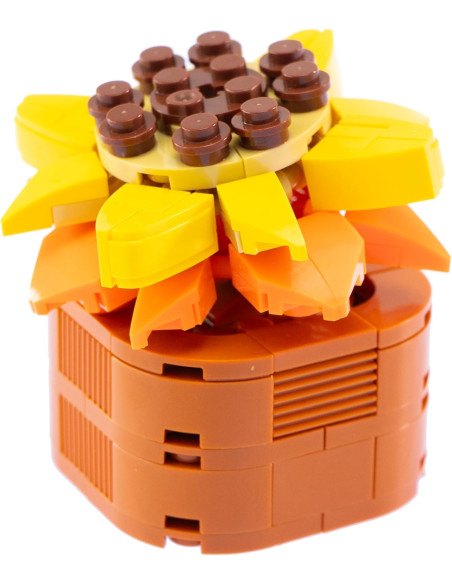 Nice - Mattoncini Sedum Adolphii