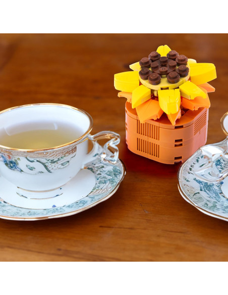 Nice - Mattoncini Sedum Adolphii