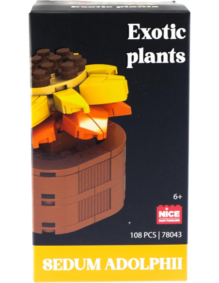 Nice - Mattoncini Sedum Adolphii