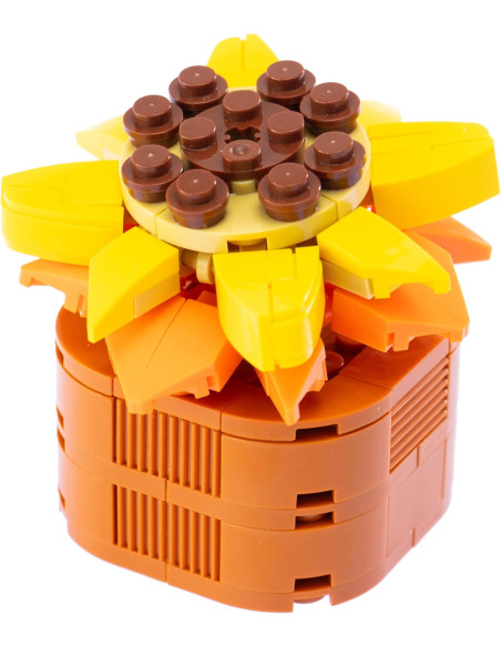 Nice - Mattoncini Sedum Adolphii