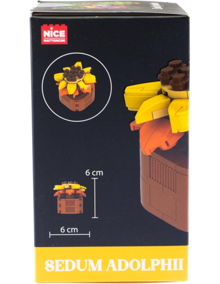 Nice - Mattoncini Sedum Adolphii
