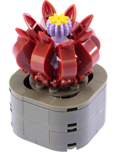 Nice - Mattoncini Stapelia Flavirostris