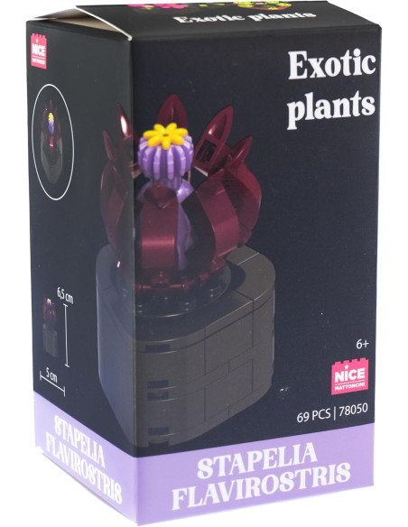 Nice - Mattoncini Stapelia Flavirostris