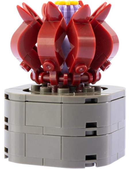 Nice - Mattoncini Stapelia Flavirostris