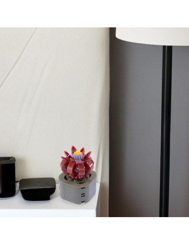 Nice - Mattoncini Stapelia Flavirostris