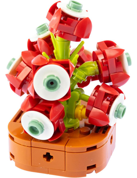 Nice - Mattoncini Schulmbergera