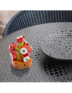 Nice - Mattoncini Schulmbergera 2