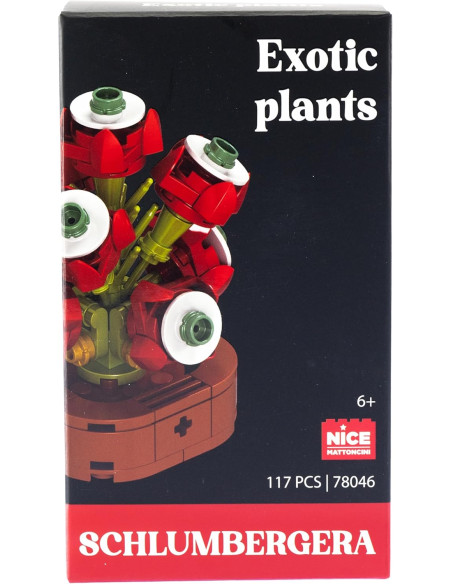 Nice - Mattoncini Schulmbergera