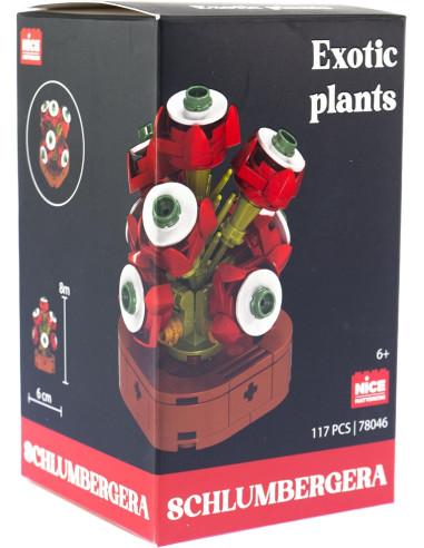 Nice - Mattoncini Schulmbergera