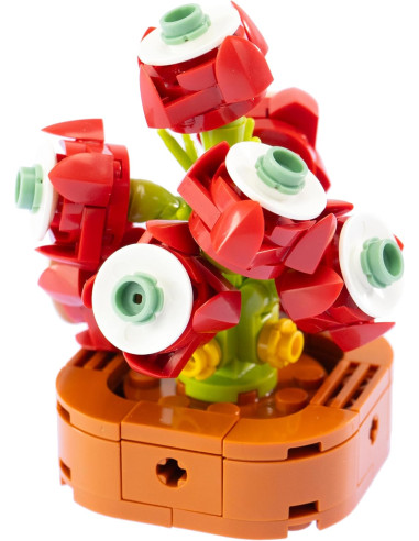 Nice - Mattoncini Schulmbergera