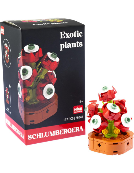 Nice - Mattoncini Schulmbergera