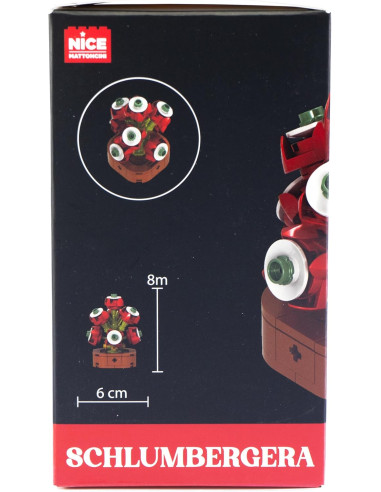 Nice - Mattoncini Schulmbergera