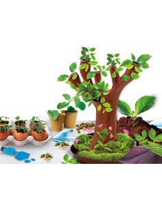 I'm a Genius - Esperimenti di Botanica 2