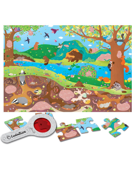 Secret Puzzle Sottosopra