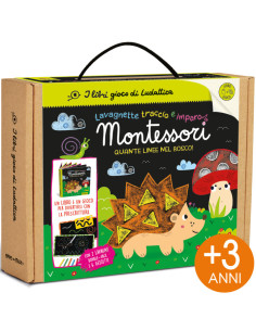 Quante Linee nel Bosco