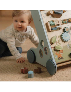 Carrellino primipassi Legno Azzurro 2