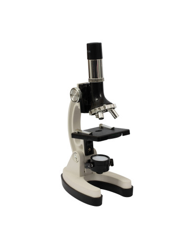 Mr Genio Microscopio