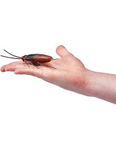 ROBO ALIVE SCARAFAGGIO 2