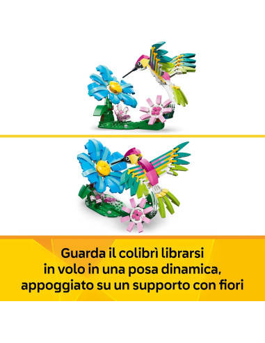 Lego Creator - Animali selvatici: colibrì...