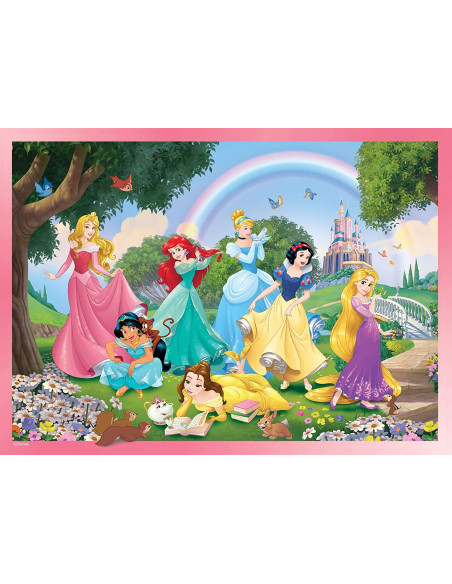 Puzzle DF Maxi Floor 24 Princess