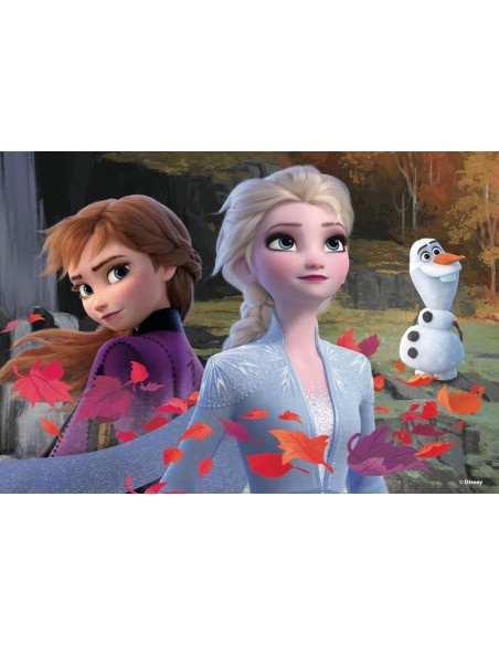 Disney Puzzle Frozen 2 4x48 Maxi Floor