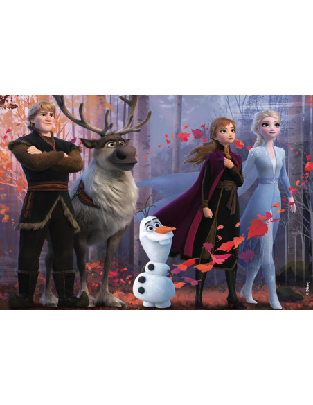 Disney Puzzle Frozen 2 4x48 Maxi Floor