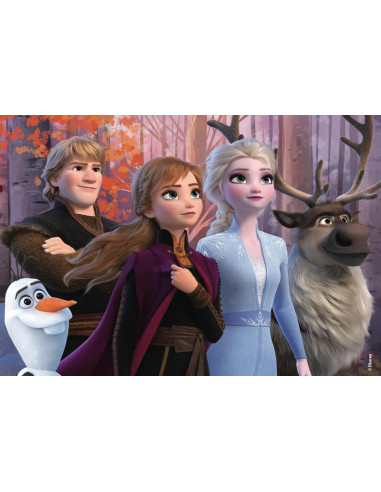 Disney Puzzle Frozen 2 4x48 Maxi Floor