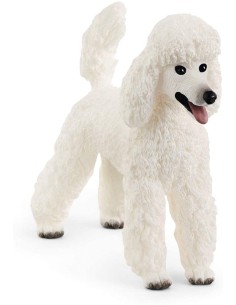 Schleich - Barboncino