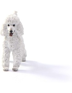 Schleich - Barboncino 2